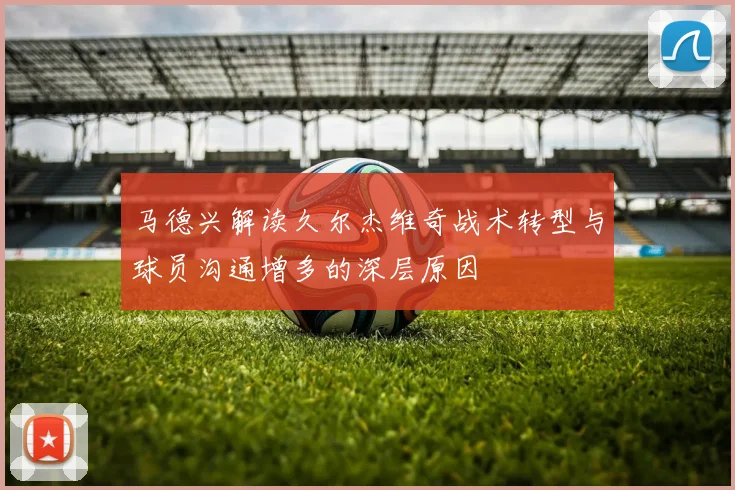 马德兴解读久尔杰维奇战术转型与球员沟通增多的深层原因