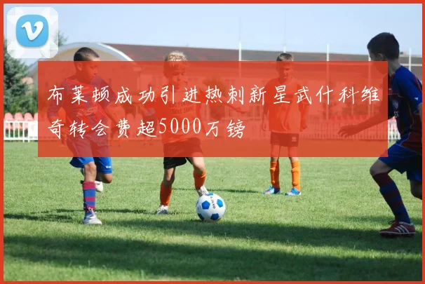布莱顿成功引进热刺新星武什科维奇转会费超5000万镑